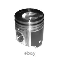 S. 66523 Piston (Standard) Fits Ford/New Holland